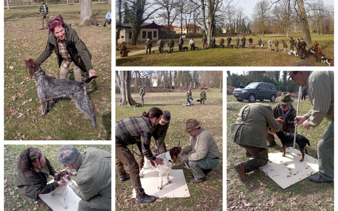 Jarní svod konaný 12. 4. 2025 v Zámeckém parku v Zákupech