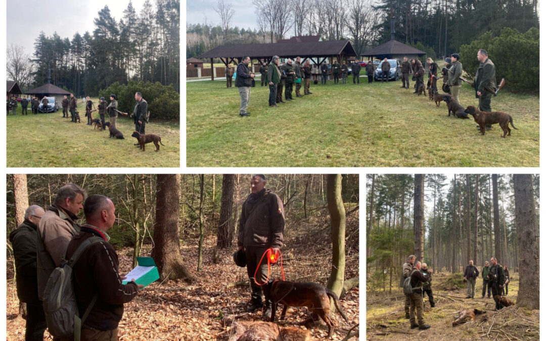 Výsledky Předběžných zkoušek barvářů