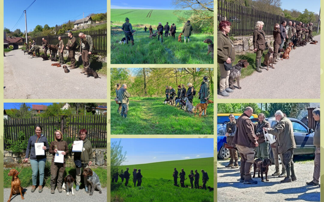 Zkoušky vloh v honitbě Chlum – Šedina dne 26. dubna 2025