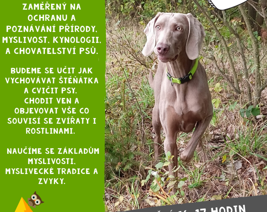 🌿 Přírodovědně myslivecký kroužek v DDM Smetanka Nový Bor 🌿